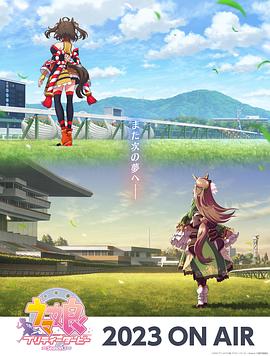 衡水网站建设方案优化